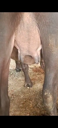 थंबनेल 3