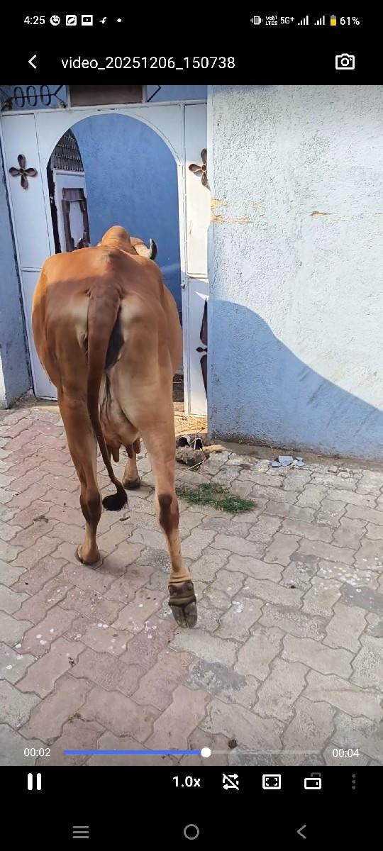 થંબનેલ 3