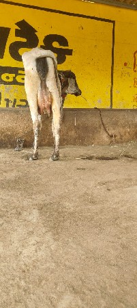 થંબનેલ 3