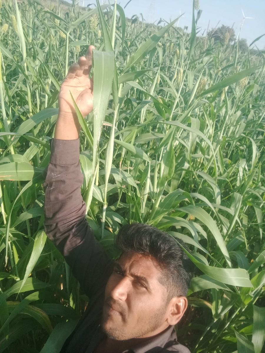 थंबनेल 3