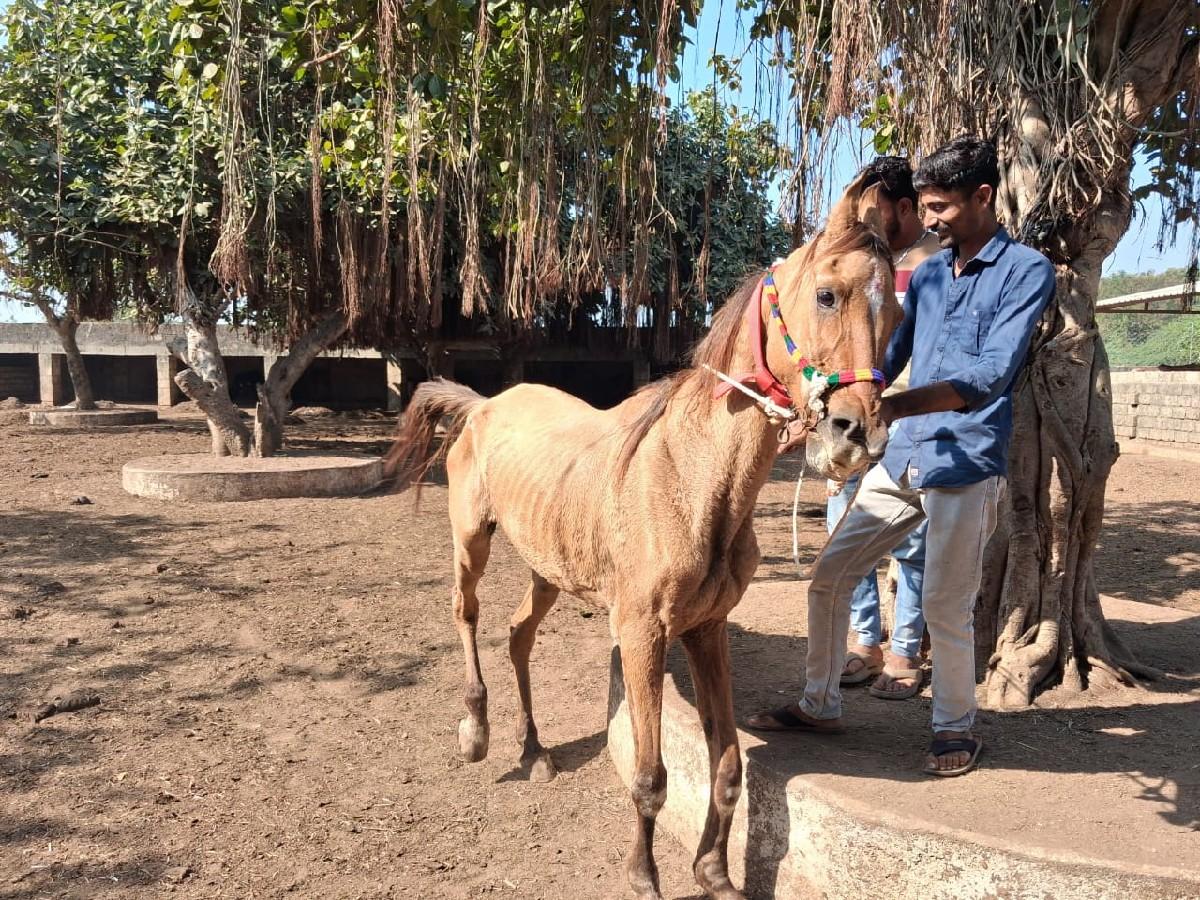 થંબનેલ 2