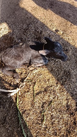 थंबनेल 2