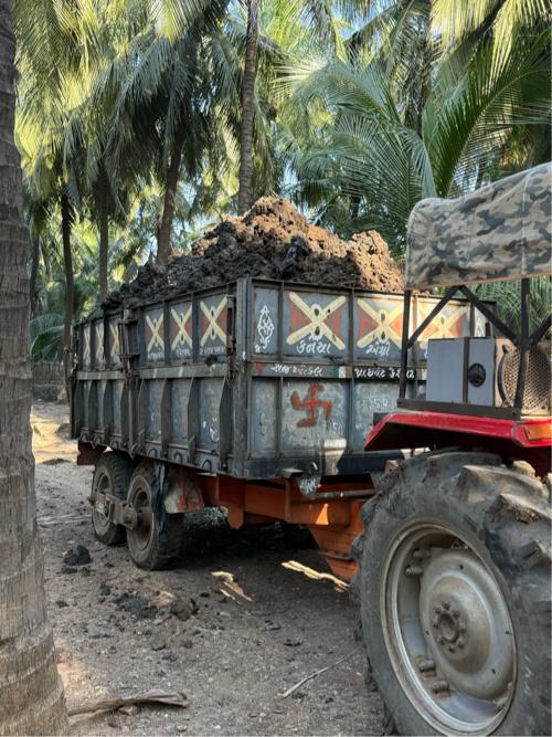 Kalas murgi nu piyor khatar vechvanu chee