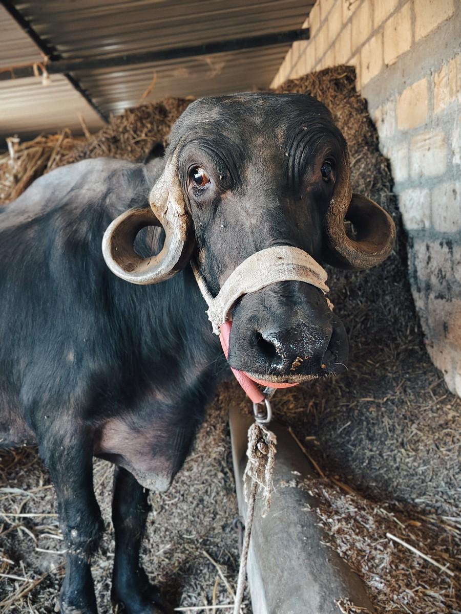 थंबनेल 3