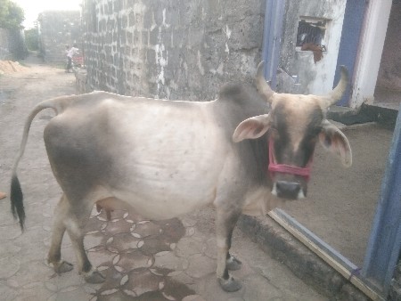 थंबनेल 2