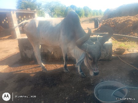 थंबनेल 2