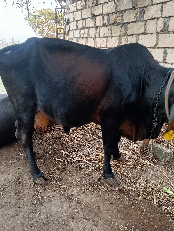 थंबनेल 2