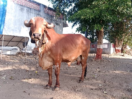 थंबनेल 3