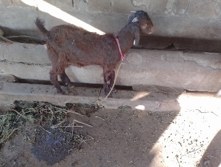 વેલાઈ  પેહેલા S M B