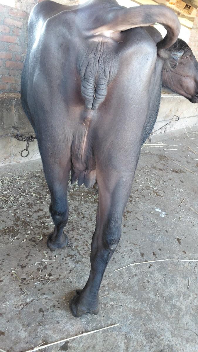 थंबनेल 2