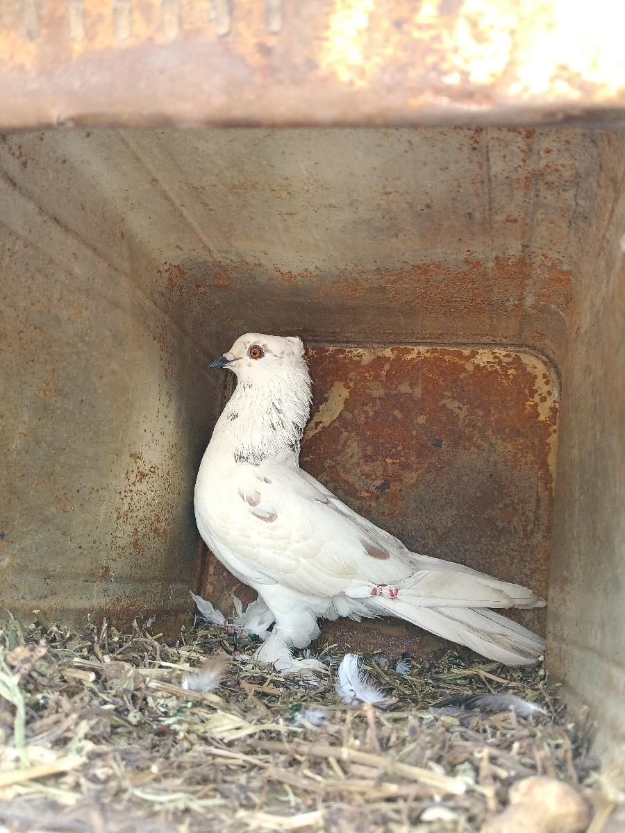 થંબનેલ 3