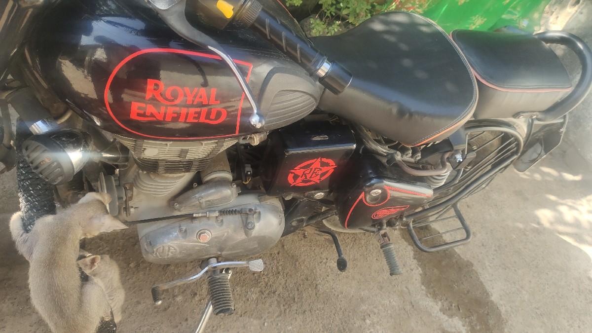 थंबनेल 2