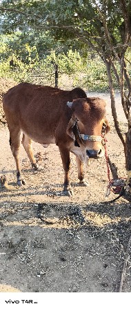 थंबनेल 2