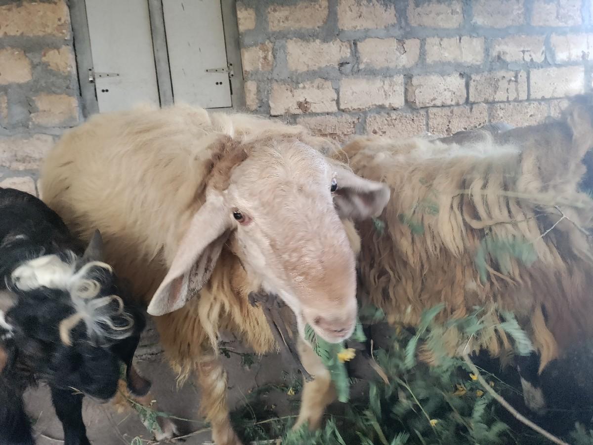 थंबनेल 2