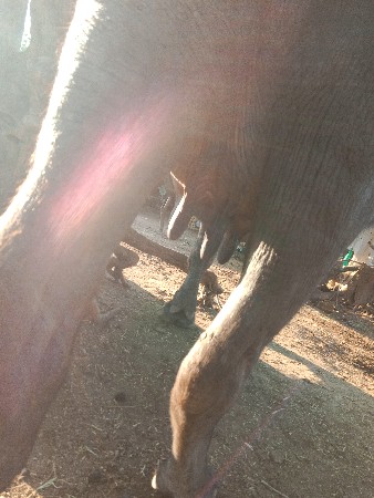 થંબનેલ 2