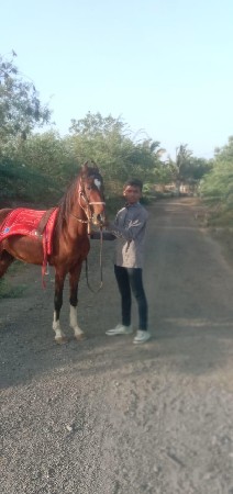 થંબનેલ 3