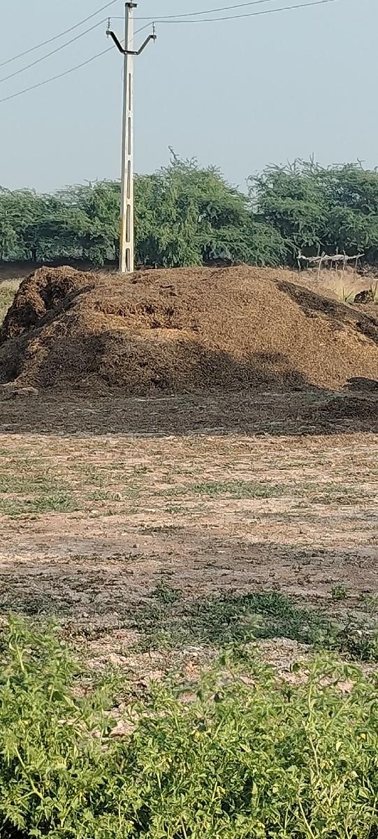 G20 માંડવી નો કોરો ભૂકો