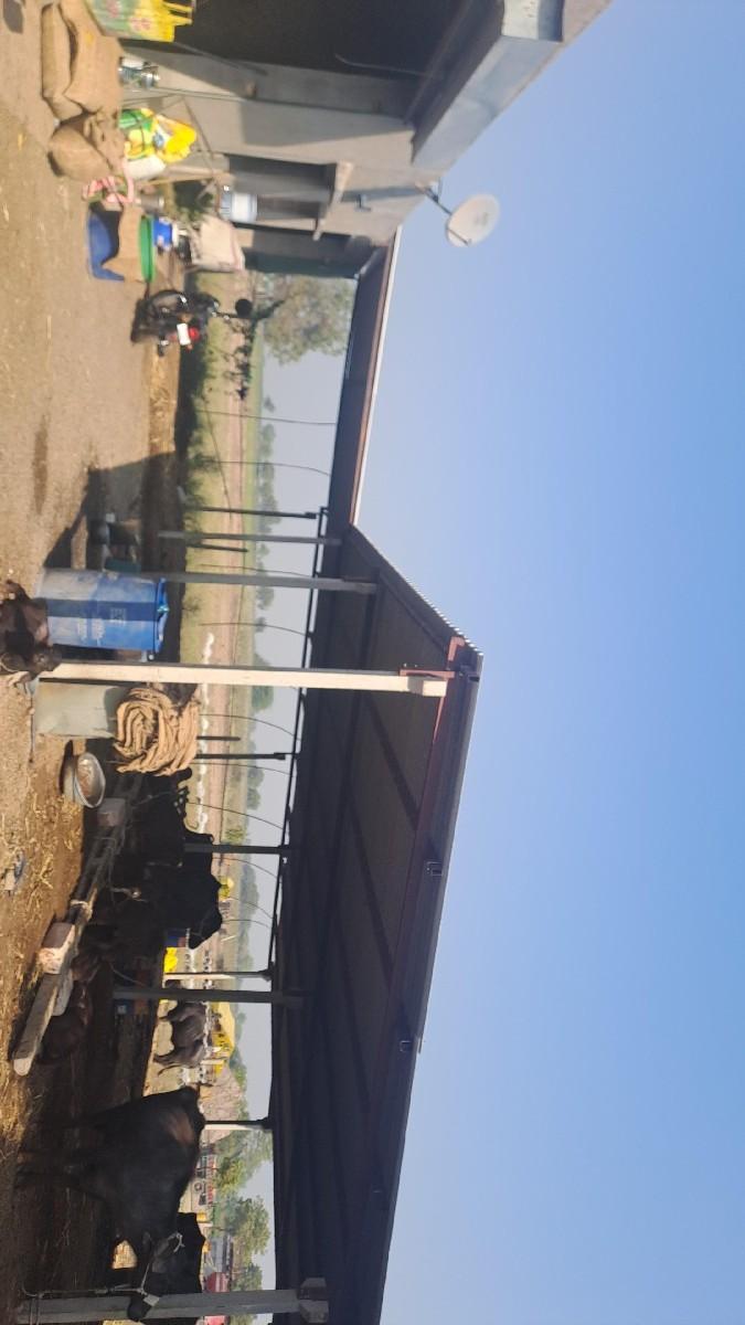 Jamin bhade aapvani che vadi