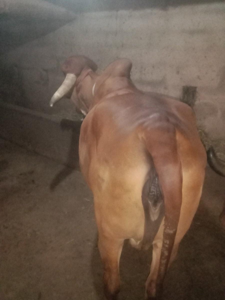 थंबनेल 3