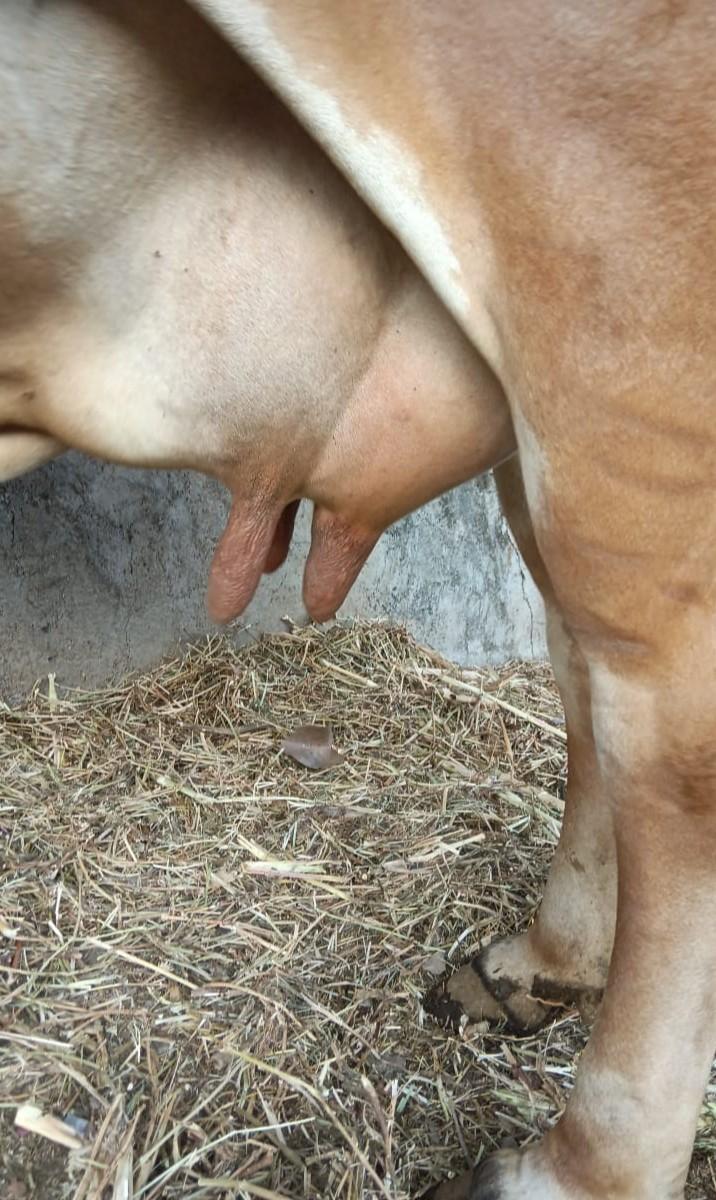 थंबनेल 3