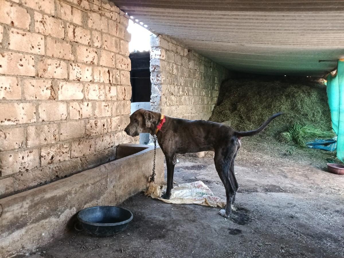 थंबनेल 3