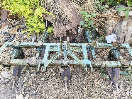 થંબનેલ 3