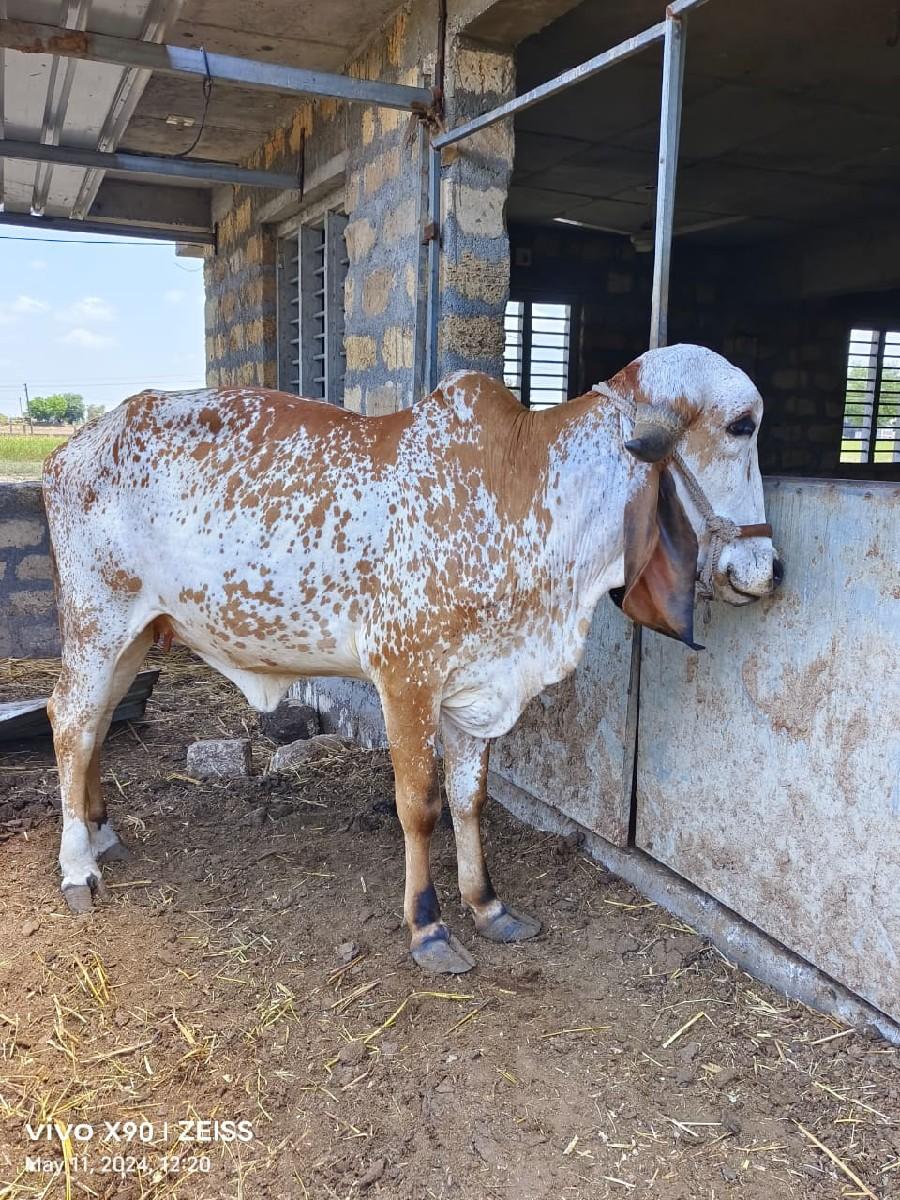 थंबनेल 3