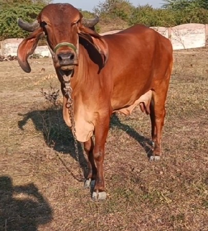 थंबनेल 2