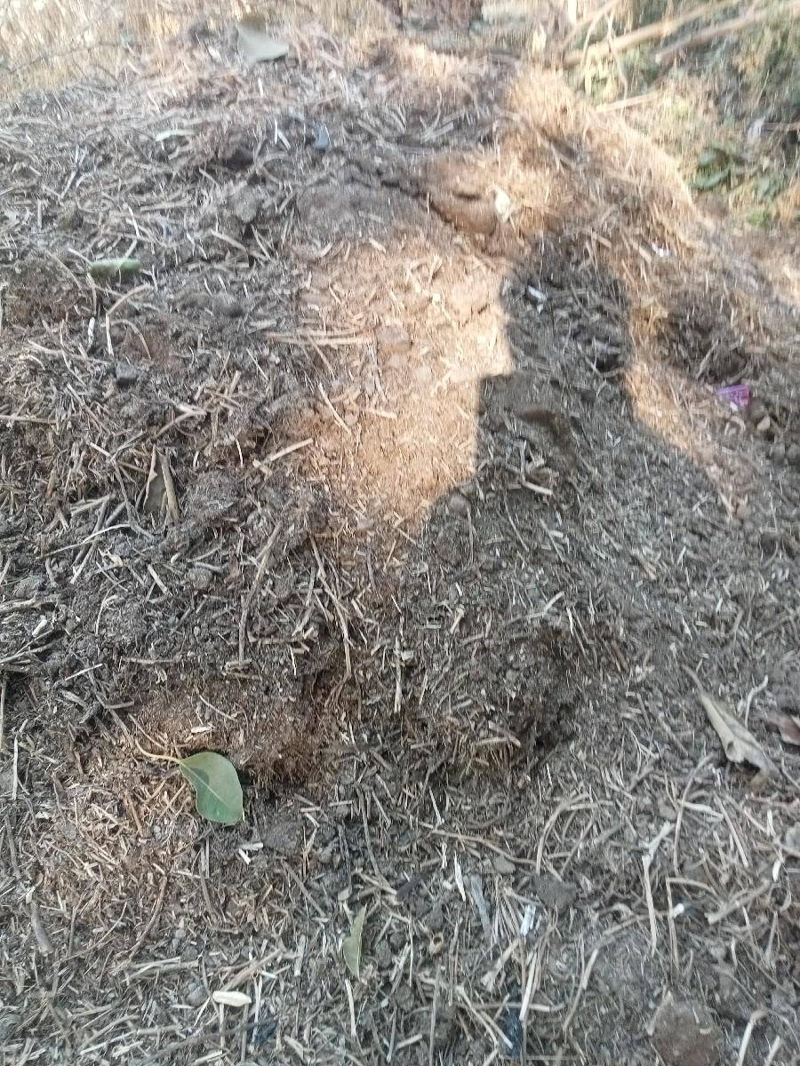 સાડીઓ ખાતર વેચવાનું છે