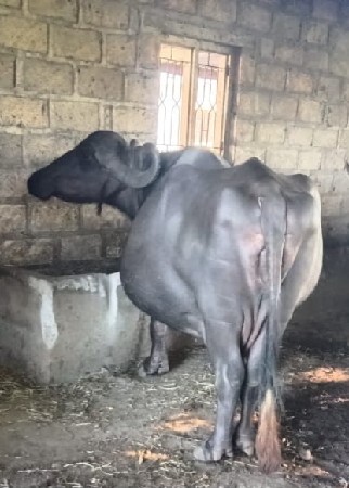 આ નંબર પર ફોન કરવો 7698921930