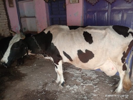 थंबनेल 2