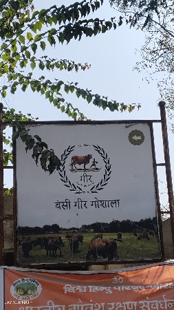 ગૌ કૃપા અમૃતમ મધર કલ્ચર