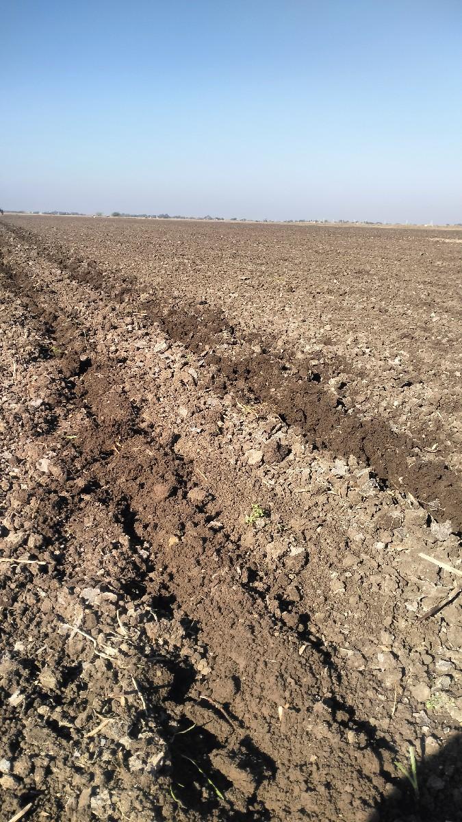 જમીન વેચવાની છે