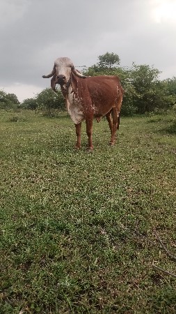 થંબનેલ 3