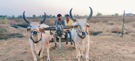 આબળદવૅચવાનાછૅ