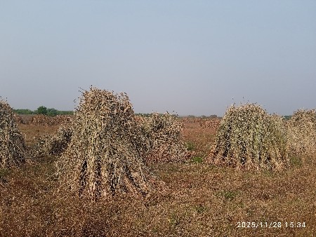 નીરણ વેચવાની છે
