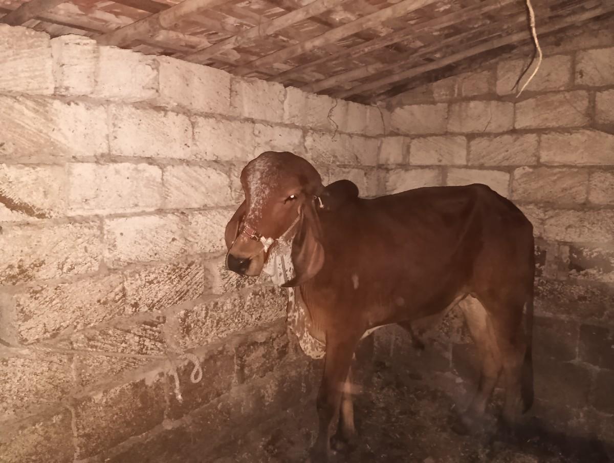 थंबनेल 2