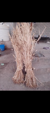 શાર વેચવાની છે.