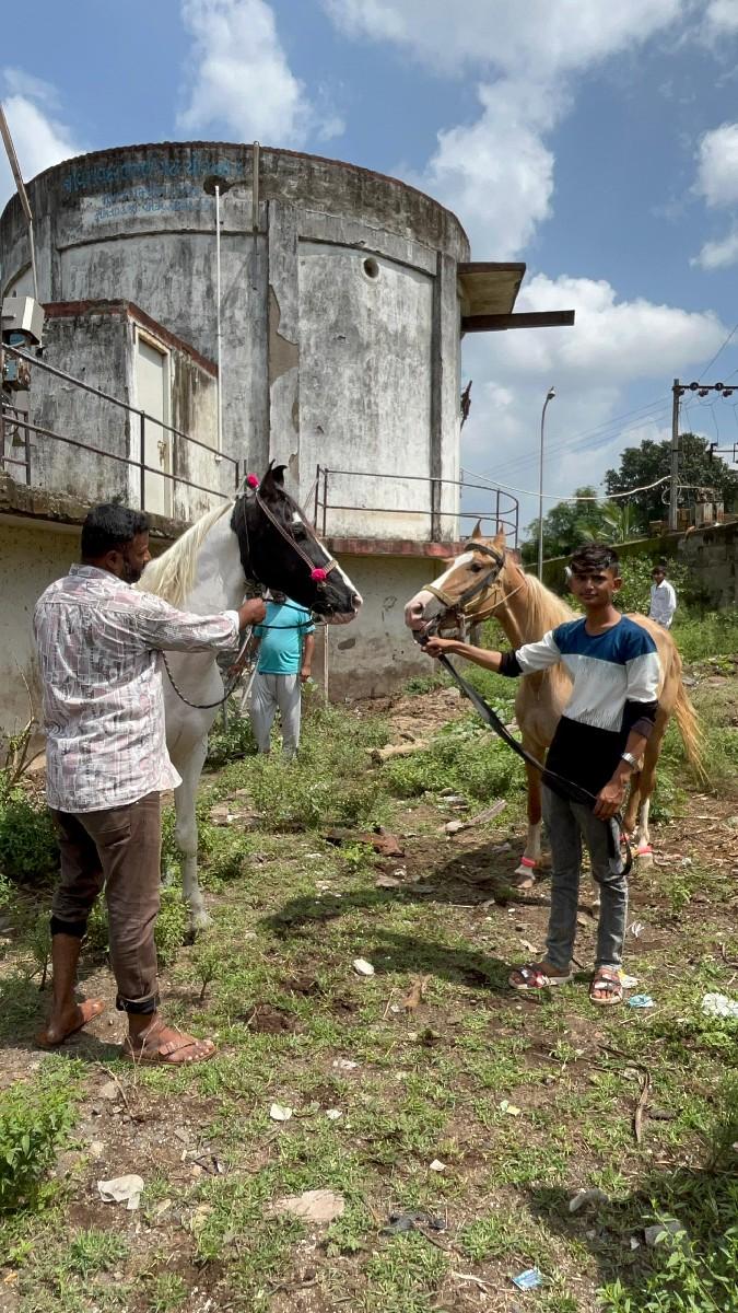 થંબનેલ 2