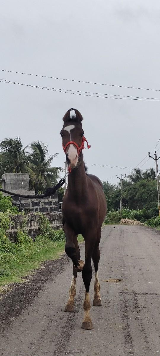 थंबनेल 2