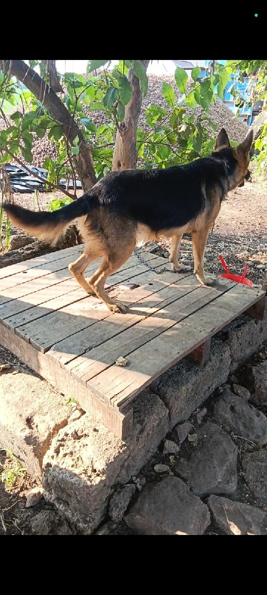 थंबनेल 2