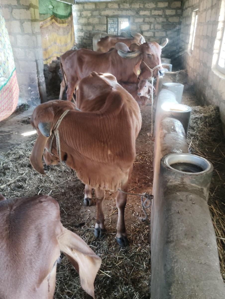 થંબનેલ 3