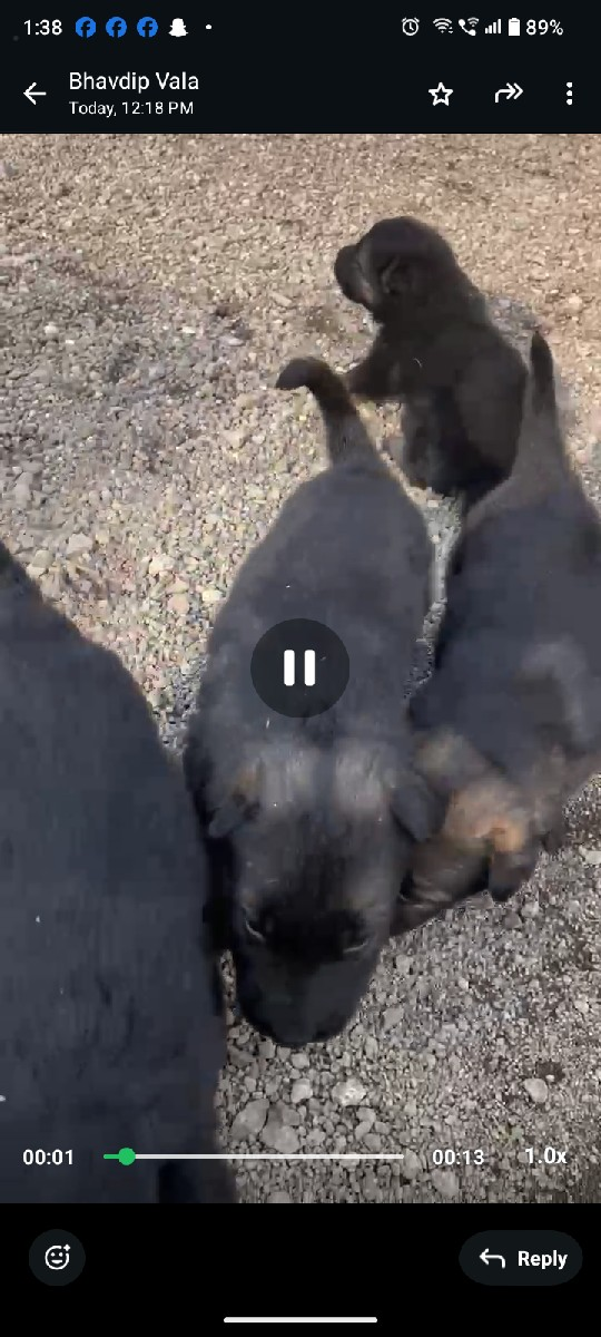 થંબનેલ 2