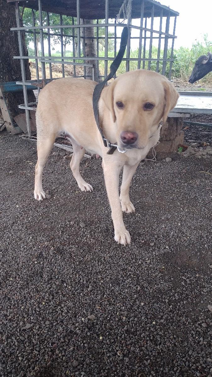 થંબનેલ 2