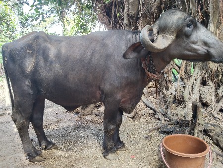 थंबनेल 2