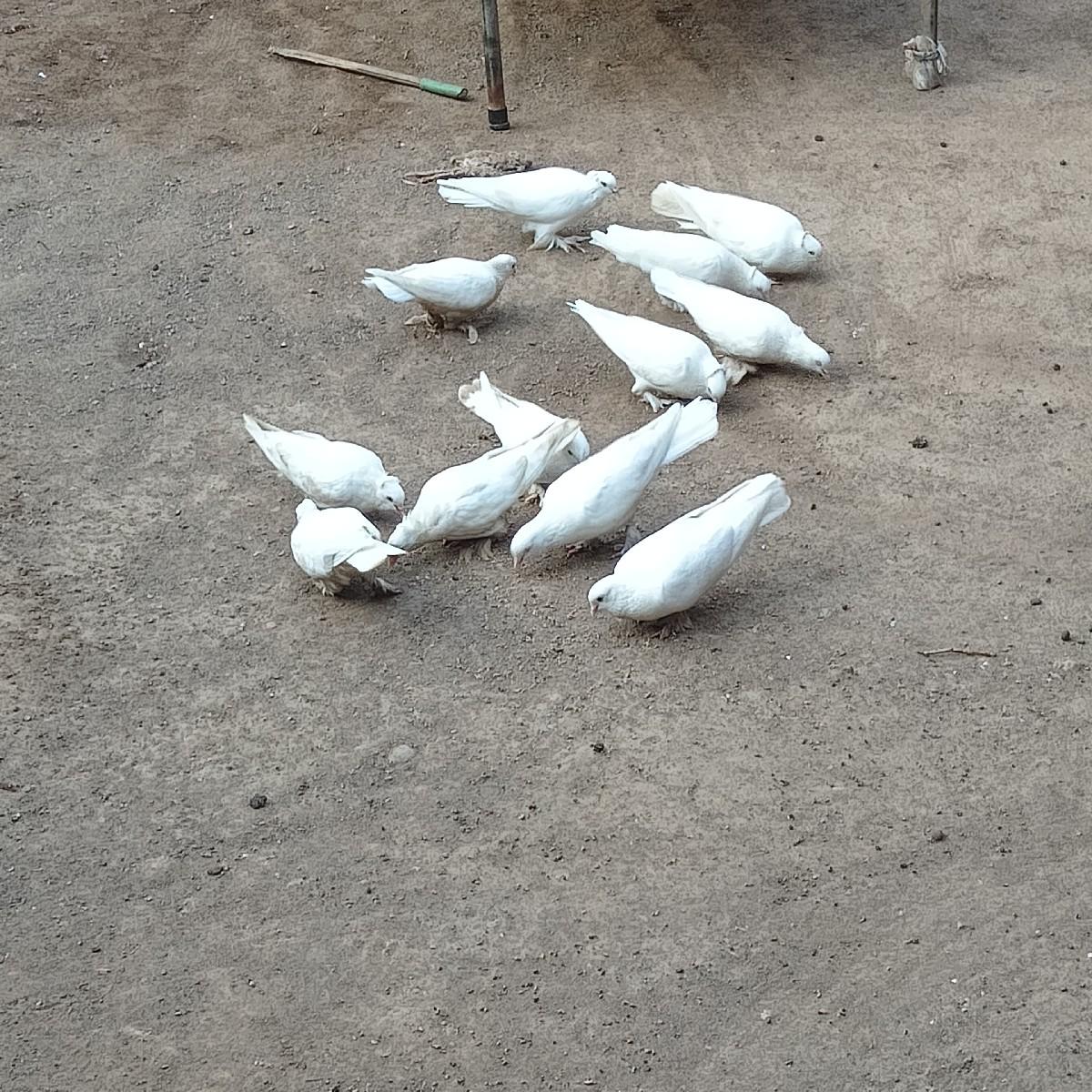 थंबनेल 3