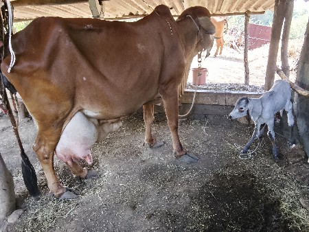 થંબનેલ 3