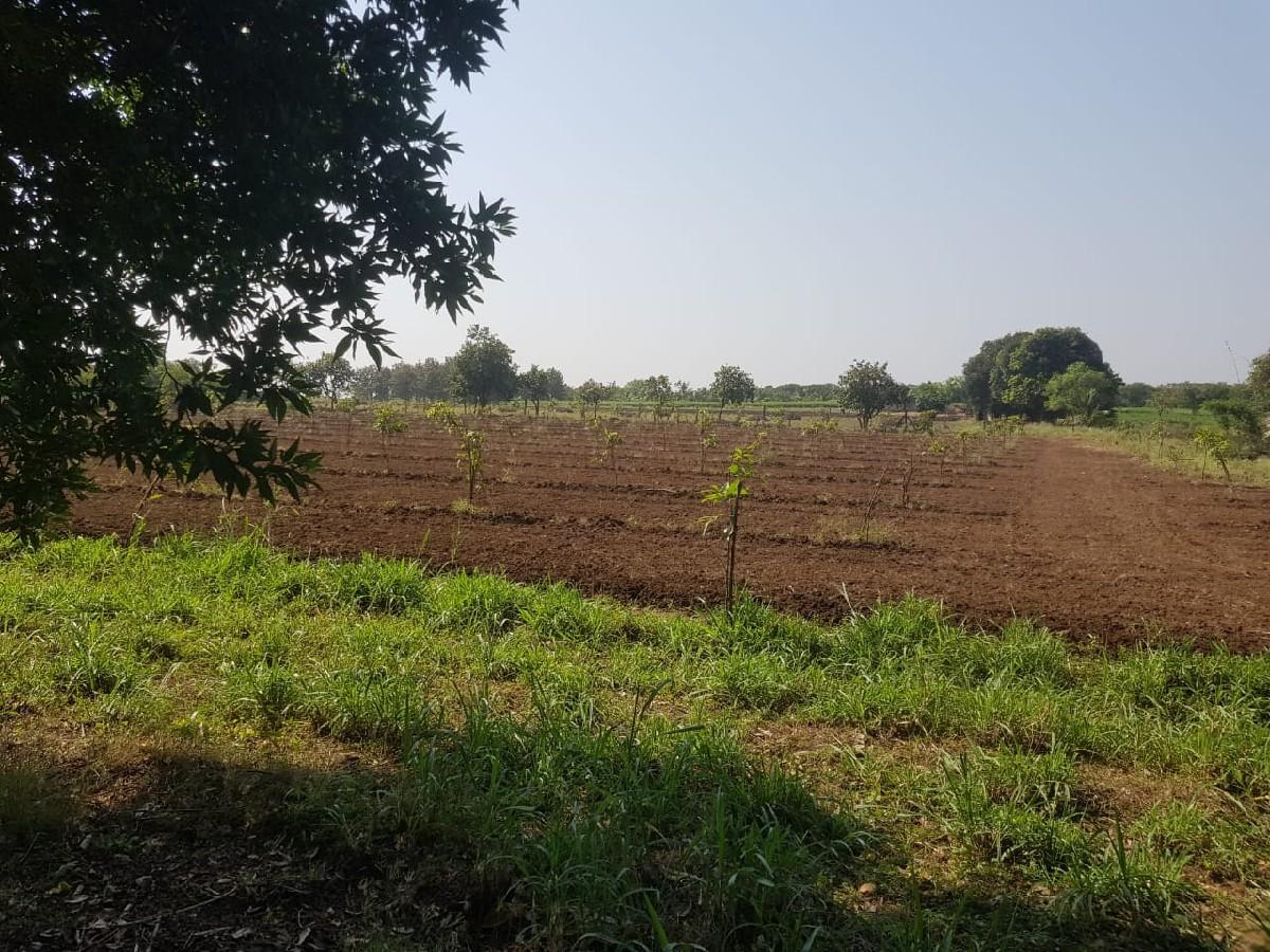 જમીન વેચવાની છે