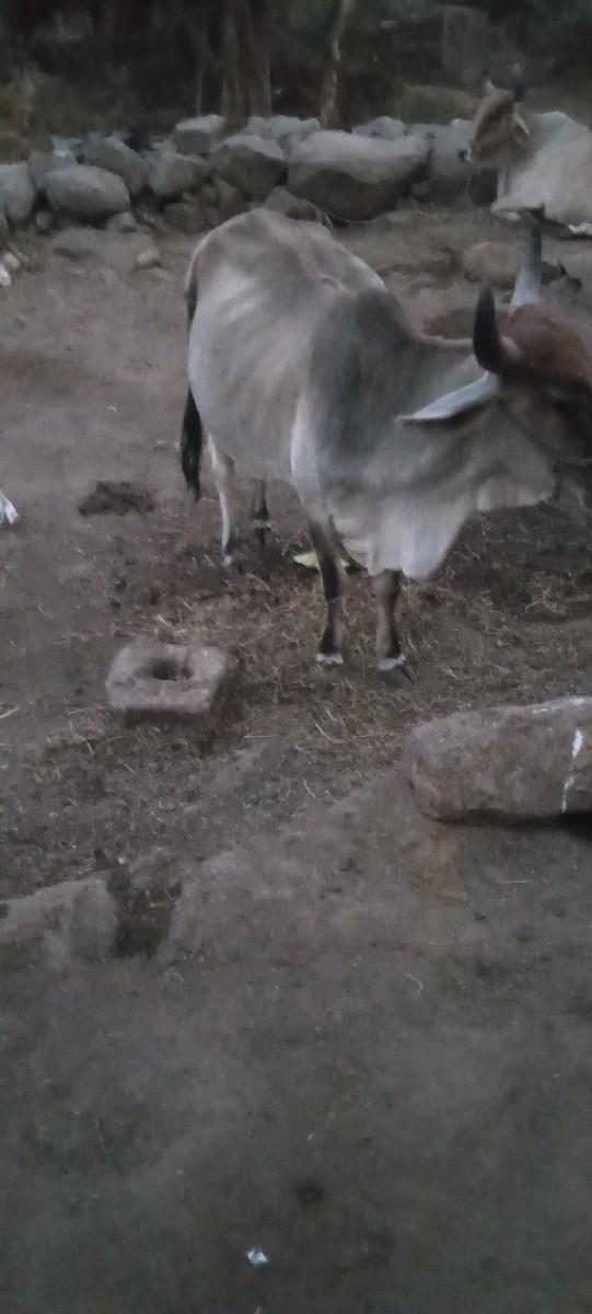 थंबनेल 2