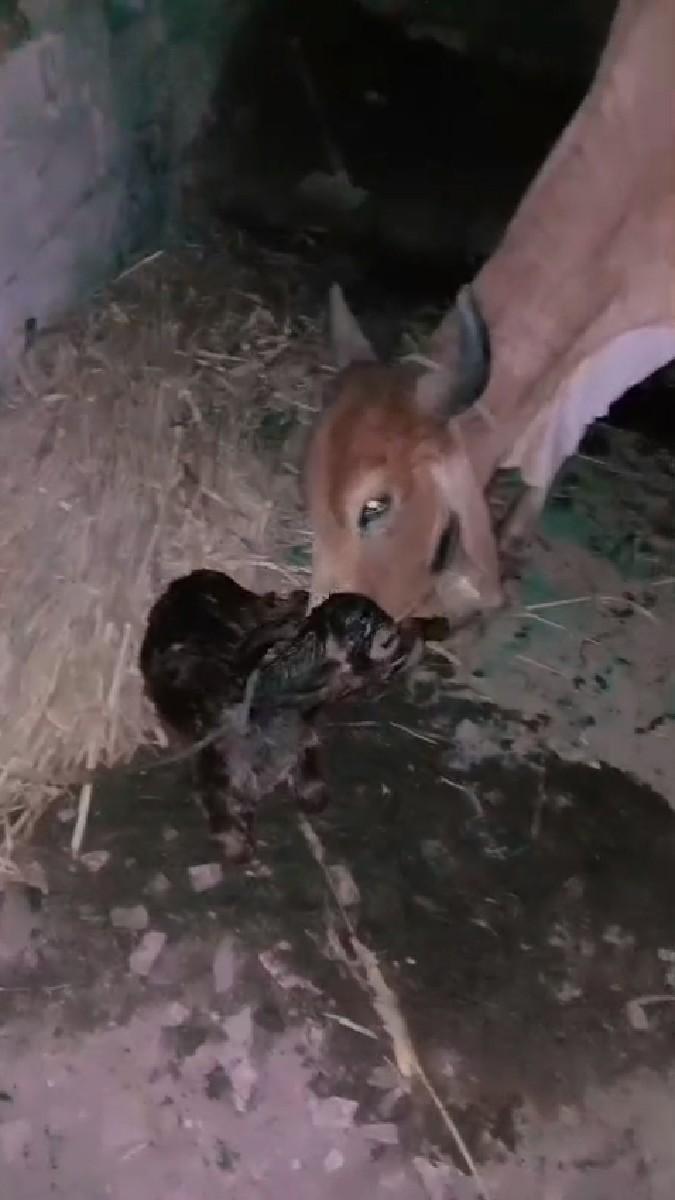 थंबनेल 2